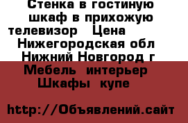 Стенка в гостиную,шкаф в прихожую,телевизор › Цена ­ 1 000 - Нижегородская обл., Нижний Новгород г. Мебель, интерьер » Шкафы, купе   